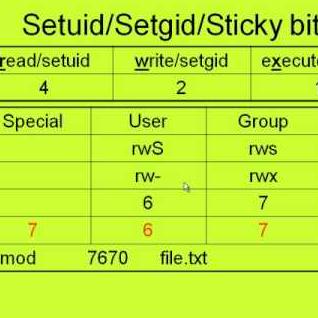 Github Lanaiscoding Lana Github Io - Elegant Nature Design - HD