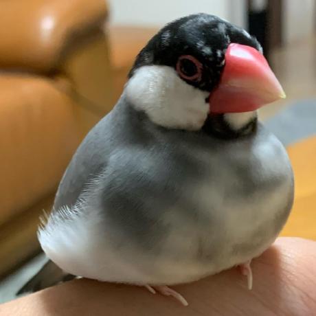 Gen Nakamura Github - Colorful Background Collection - 8K Quality