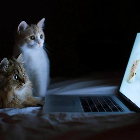 Patheikkinen Pauli Heikkinen Github - Colorful Designs - Ultra HD Mobile Collection