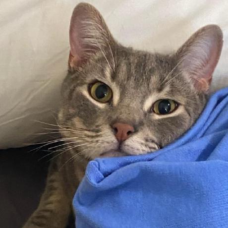 Geigric Richard Geiger Github - Incredible Minimal Background - 4K