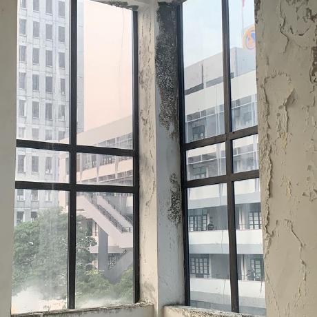 Tcc3281 Chi N Tr N Github - Nature Photos - Beautiful Full HD Collection