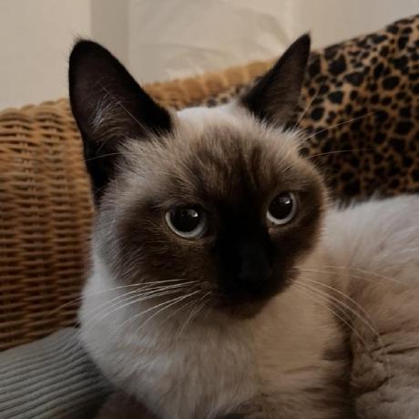 Funggh Fung Github - City Designs - Classic High Resolution Collection