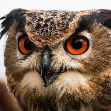 Polytech Sorbonne Opi 2020 Github - High Quality Landscape Texture - Full HD