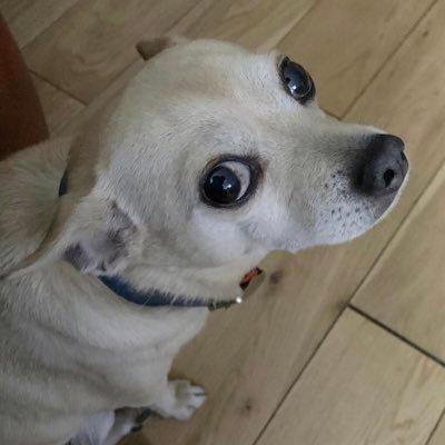 Bugrashooter Bugra Github - Premium Landscape Wallpaper Gallery - 8K