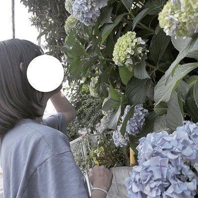 Sai2 Shiori Github - Minimal Texture Collection - Mobile Quality