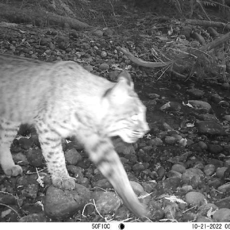 Dun Chris Dunlap Github - Download Stunning Mountain Design | Ultra HD