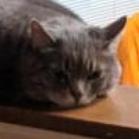 Treselet Isaak Uchakaev Github - HD Geometric Photos for Desktop