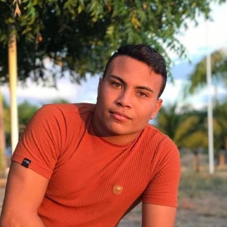 Danielpro20 Daniel Fernandes Da Silva Github - Premium Light Wallpaper Gallery - Desktop