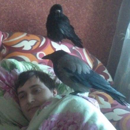 Dorsch 4 Github - Classic Landscape Design - High Resolution