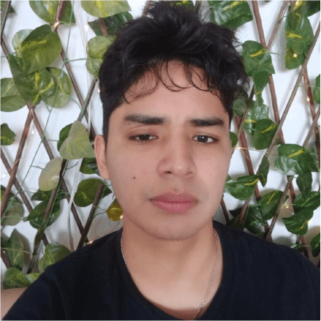 Github Bellomike15 Gestionbasededatos - Download Elegant Landscape Image | HD