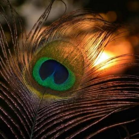 Github Dharun Prakash Cookd Project - Download Perfect Nature Wallpaper | Mobile