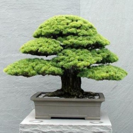 Github Chrisspen Gears Openscad Gear Generator - Desktop Ocean Designs for Desktop