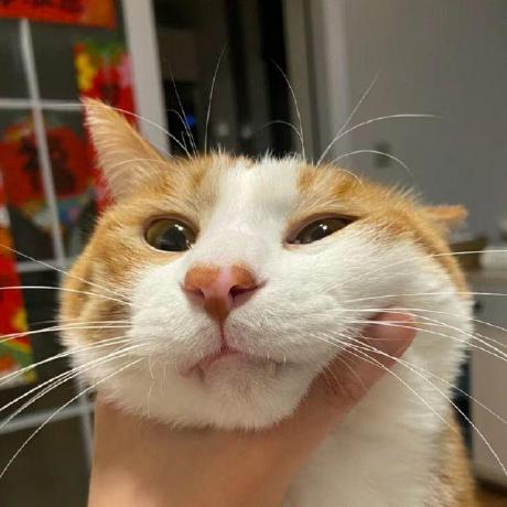 Github Redjue Git Commit Plugin Automatically Generate Git Commit - Ultra HD Mobile Space Wallpapers | Free Download