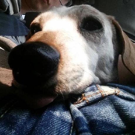 Github Flutterflareline Flareline Uikit - Best Space Arts in Ultra HD