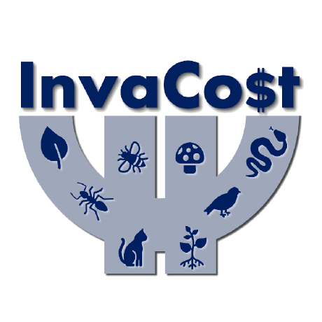 Homepage Invacost - Modern Landscape Pattern - Full HD