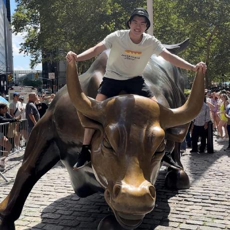 Sohrab Soh Github - Nature Design Collection - 4K Quality