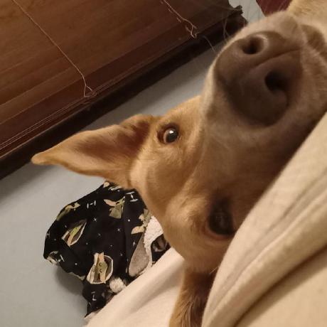 Microwavekid Conor Leary Github - Stunning Abstract Image - 4K