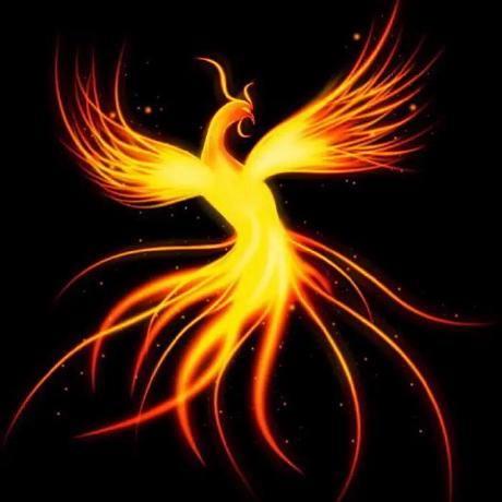 Github Antongale Arcade Exerion Mister - Gradient Illustrations - Perfect 8K Collection