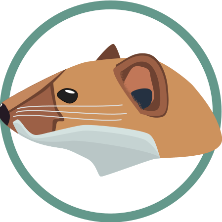 Github Stoat Dev Stoat Action Turn Pull Request Comments Into Developer Dashboards - Download Perfect Vintage Wallpaper | Desktop