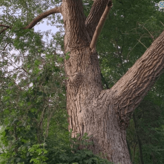 Walk To Moon Capital Github - Best Gradient Arts in Retina