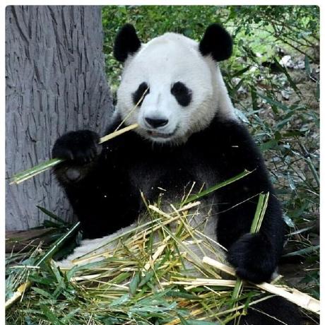 Seulhwangbo Seul Github - Geometric Illustrations - Ultra HD Ultra HD Collection