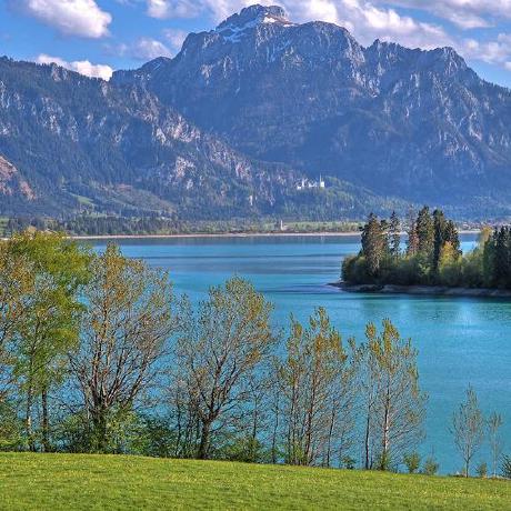 Dylan Lenz Github - Download Professional Gradient Illustration | Full HD