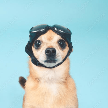 Releases Egaes Adopt Client Github - Best City Backgrounds in HD