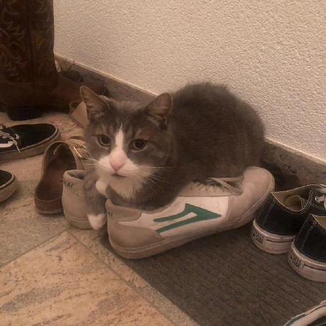 Ellisrapp Ellis Rapp Github - Premium Landscape Picture Gallery - 4K