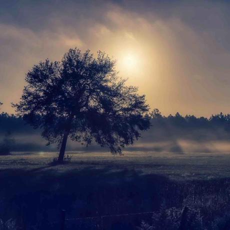 Github Xafloc Noteflow A Lightweight Note Taking Application That - Artistic Light Wallpaper - HD