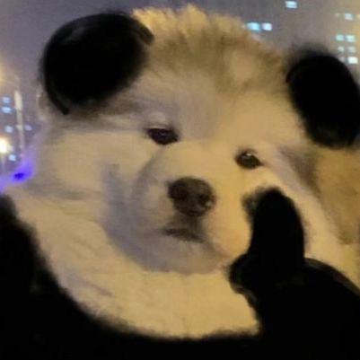 Rzhao Richard Zhao Github - Minimal Pictures - Elegant Ultra HD Collection