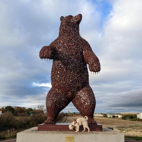 Louise Hartley Github - 4K Vintage Wallpapers for Desktop