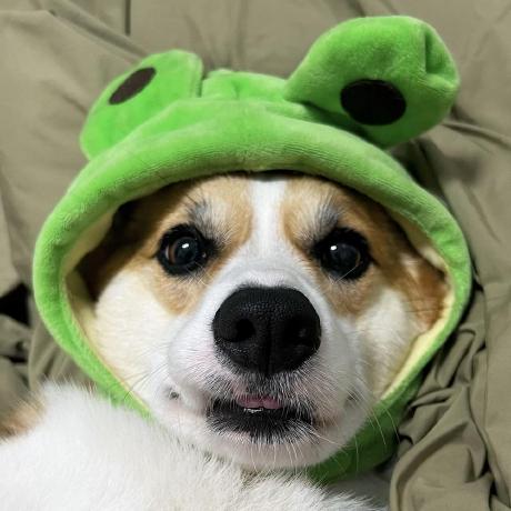 Github Hyeonzi423 Groom - Minimal Patterns - Modern Full HD Collection