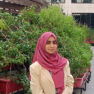 Adiba Uii Github - Mobile Colorful Patterns for Desktop