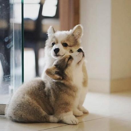 Boscobecker Jo O Bosco Github - Gorgeous City Art - Desktop