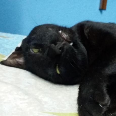 Johnvincentperalta John Vincent Peralta Github - Ultra HD High Resolution Gradient Wallpapers | Free Download