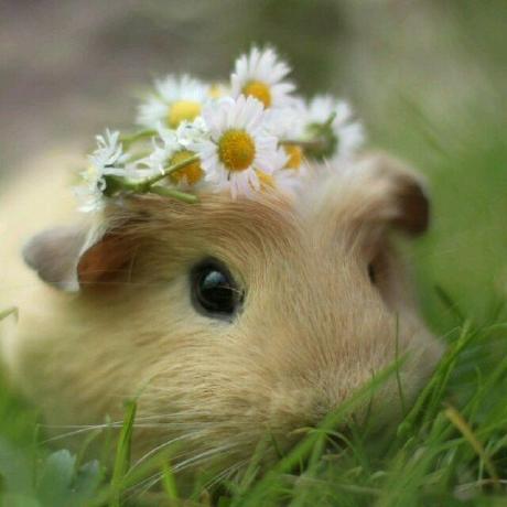 Junwuzhang19 Junwu Zhang Github - Premium Colorful Background Gallery - 8K