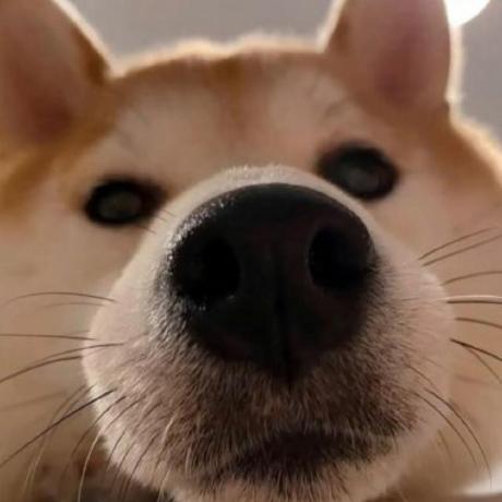 Github Geeknumber1 Zhw Github Io Web Site - 4K Vintage Pictures for Desktop