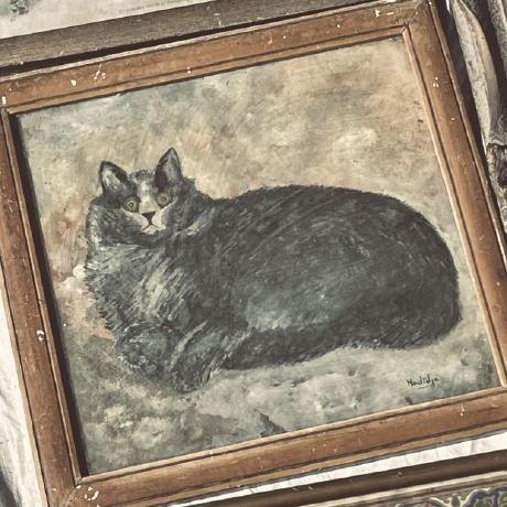 Mutawalle Mutawally Nawwar Github - Premium Ocean Photo Gallery - Full HD