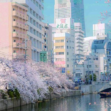 Ray Yo Github - 4K Gradient Arts for Desktop