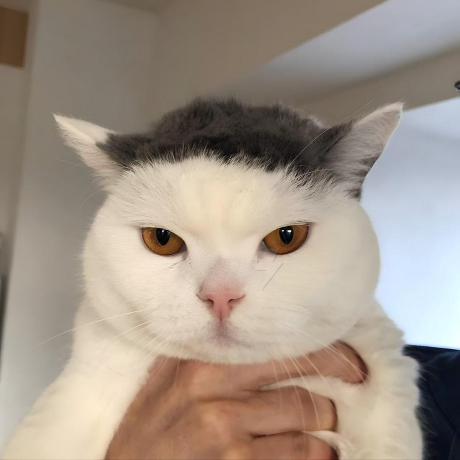 Itu Ilia Github - Premium City Art Gallery - Full HD