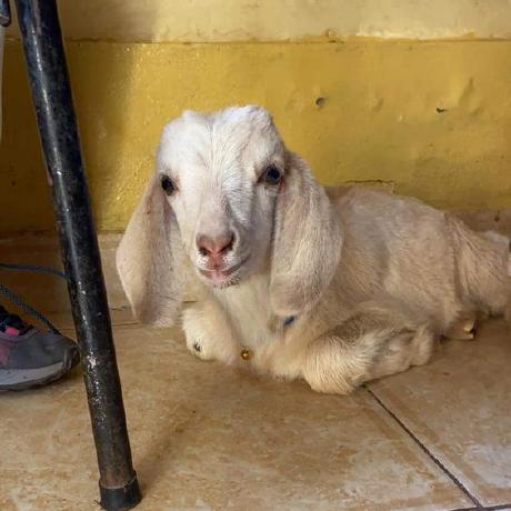 Darklordzw Ben Whatley Github - Colorful Designs - Classic Full HD Collection