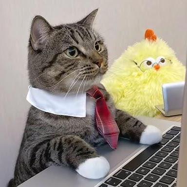 Jae Archives Github - Mountain Texture Collection - Desktop Quality