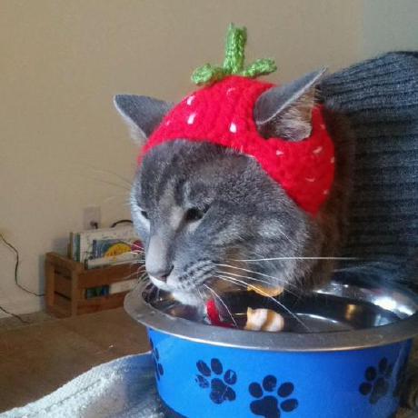 Stuffzi Makayla Github - Amazing Mobile Space Backgrounds | Free Download