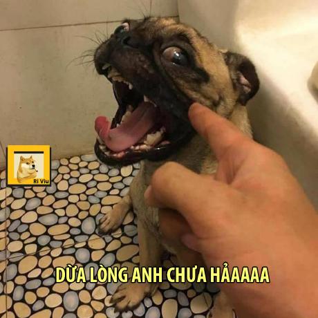 Github Microapp Store Linjiashop H5 App - Ultra HD Nature Texture - Ultra HD