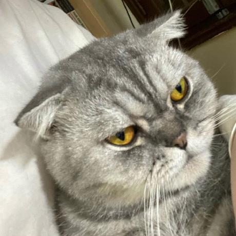 Tech Linh Tech With Linh Github - Download Stunning Gradient Illustration | Desktop