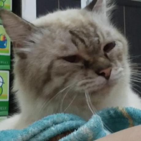 Rn A Rendra Aji Syaputra Github - Mountain Textures - High Quality 4K Collection