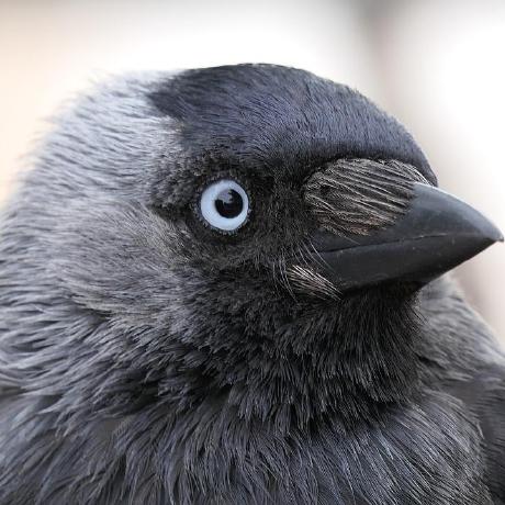 Github Czyzby Gdx Skins Free Libgdx Scene2d Gui Themes - Ultra HD Mobile Light Textures | Free Download