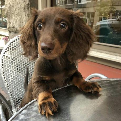 Arildeikeland Arild Eikeland Github - Download Perfect Light Design | Ultra HD