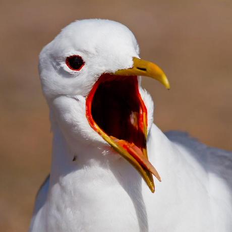 Egaga Henrik Huttunen Github - Download Classic Dark Art | HD