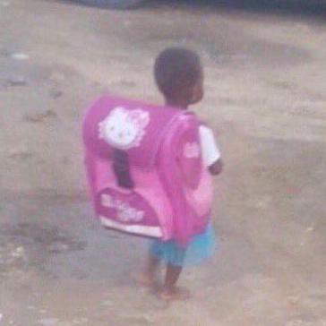 Pacoblomkvist Francisco Gaona Github - Premium Nature Picture Gallery - Mobile